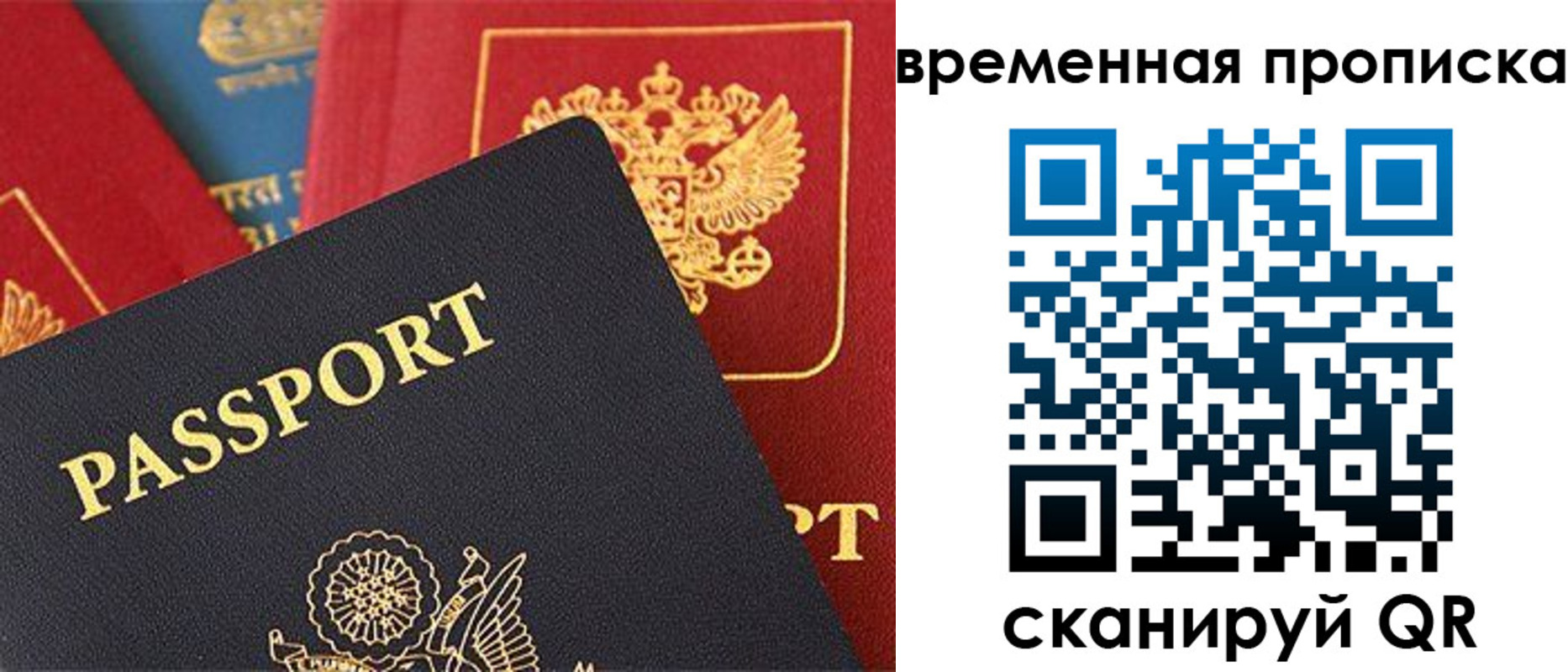 прописка для школы в Ленинградской области