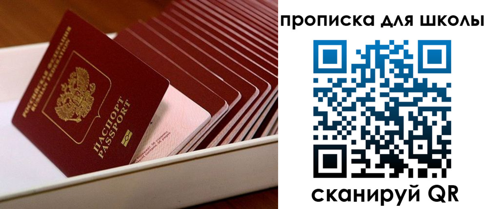 временная регистрация госуслуги в Ленинградской области